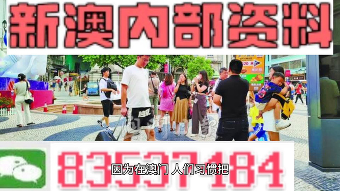 新澳2024正版免費資料，探索與揭秘