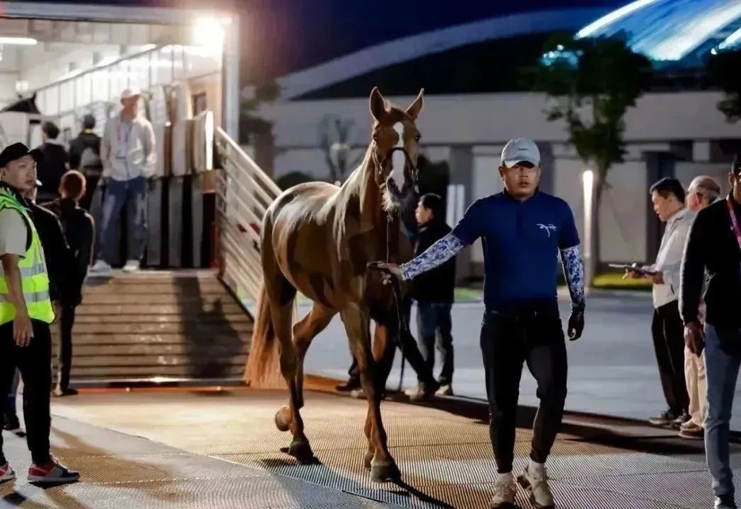 WW777766香港馬會(huì)總綱詩，探索賽馬運(yùn)動(dòng)的魅力與詩意