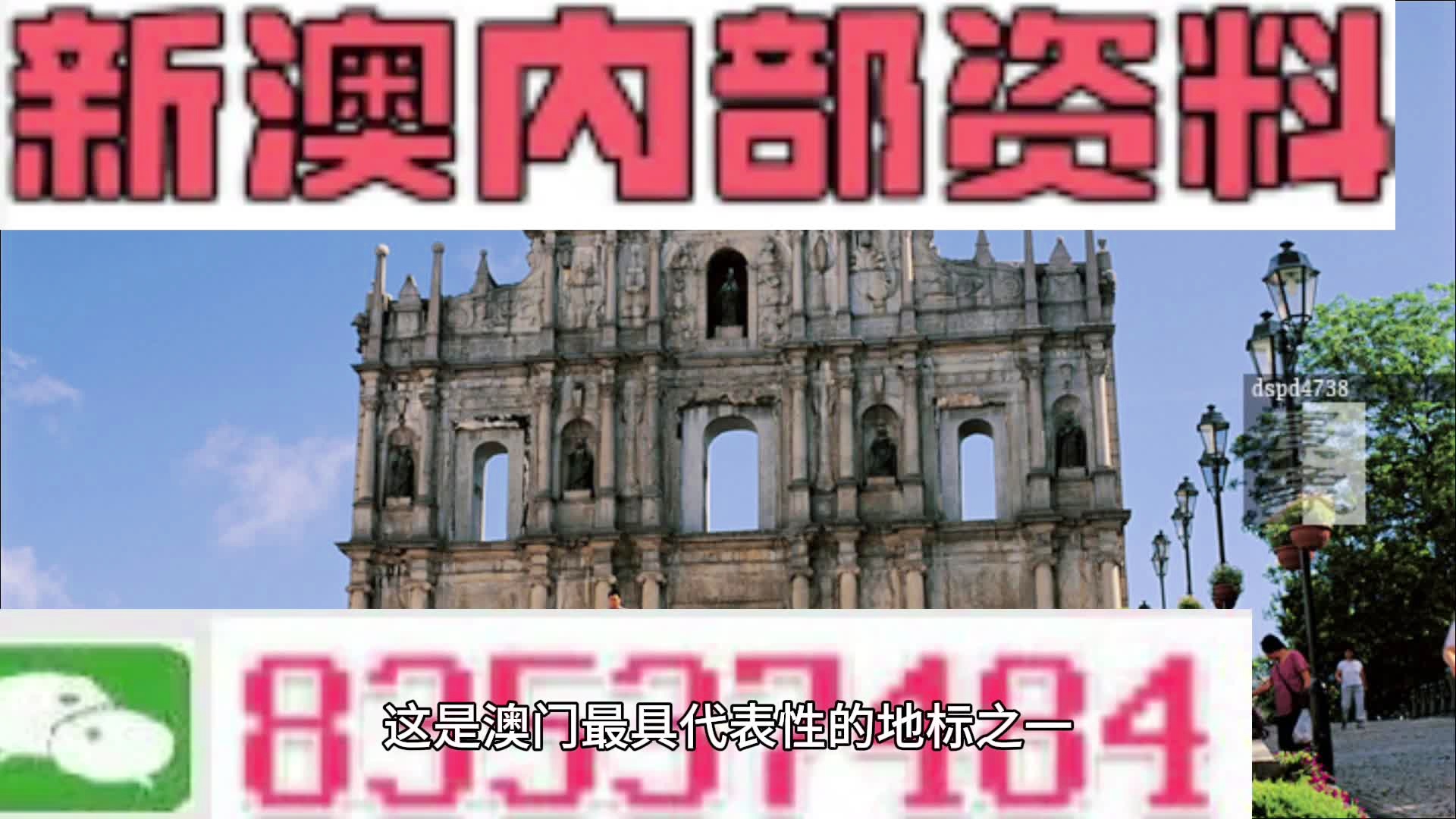 新澳2024年精準(zhǔn)資料33期深度解析