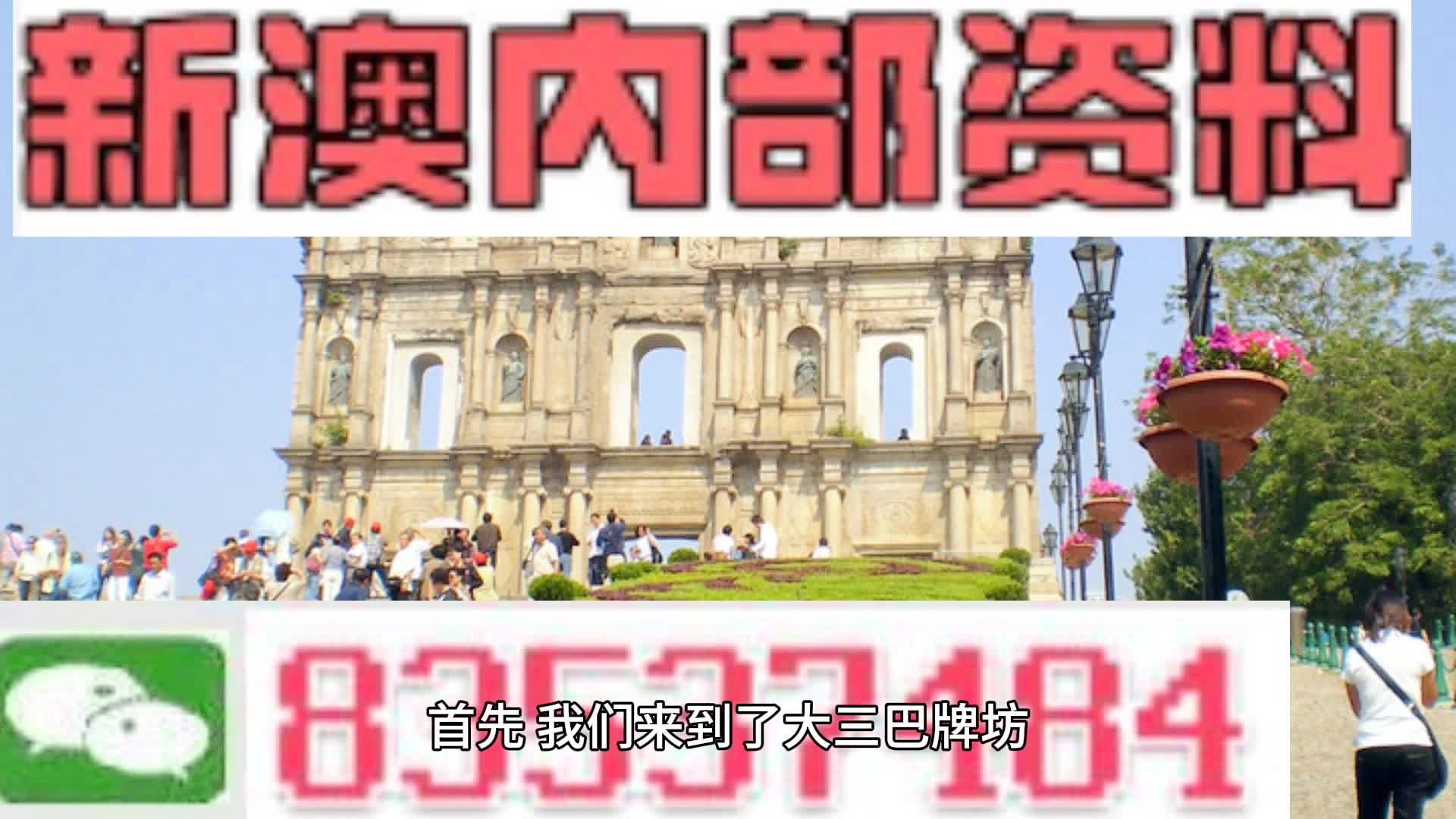 新澳2024年精準一肖一碼預測與探索