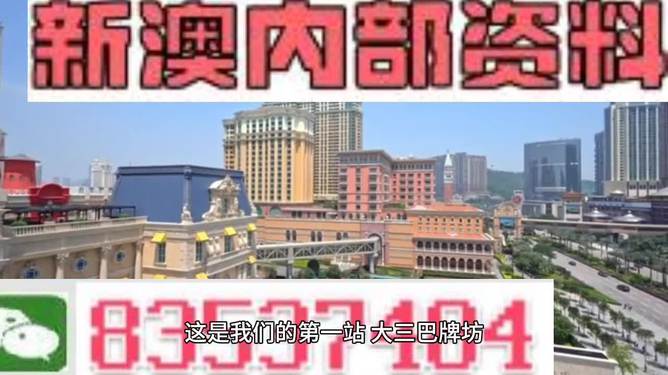 新澳門(mén)資料大全正版資料2024年免費(fèi)下載，全面解析與前瞻性探討