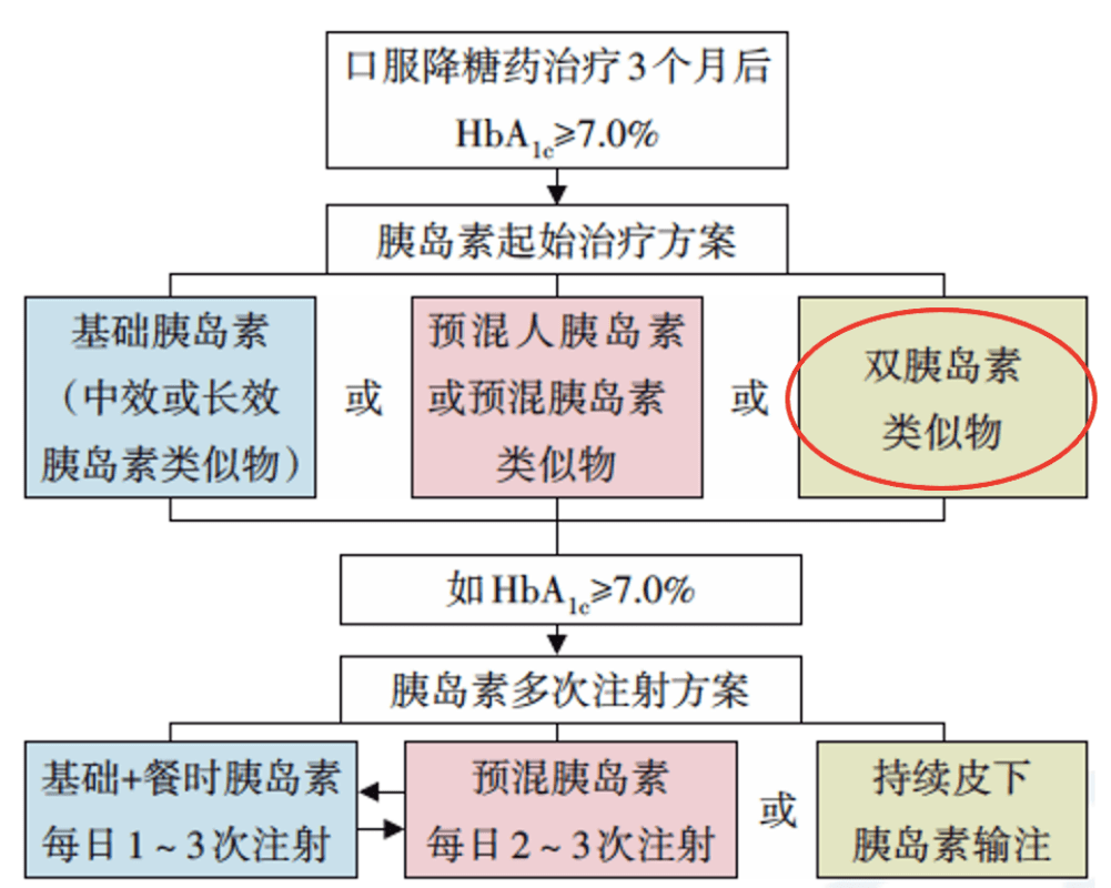 新澳門資料大全正版資料，探索與解讀