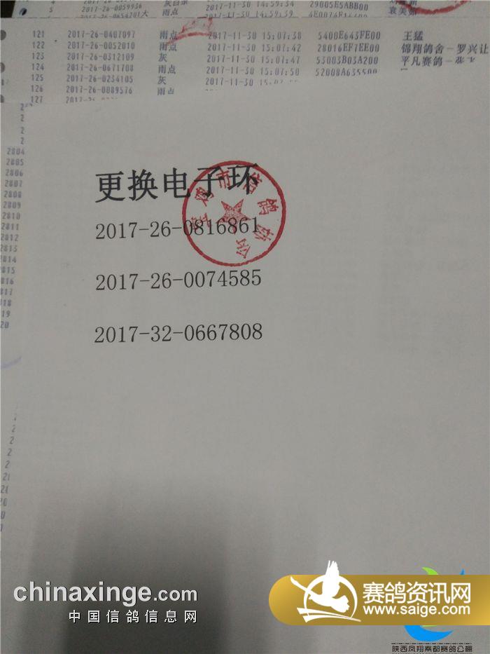 藁城信鴿協(xié)會(huì)最新公告