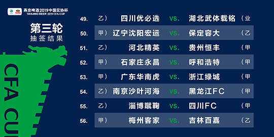 澳門三肖三碼精準100%小馬哥,全面解析說明_競速版52.354