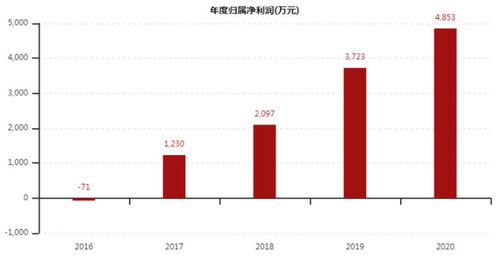 工大高新最新消息，深度解析與前景展望（600701）