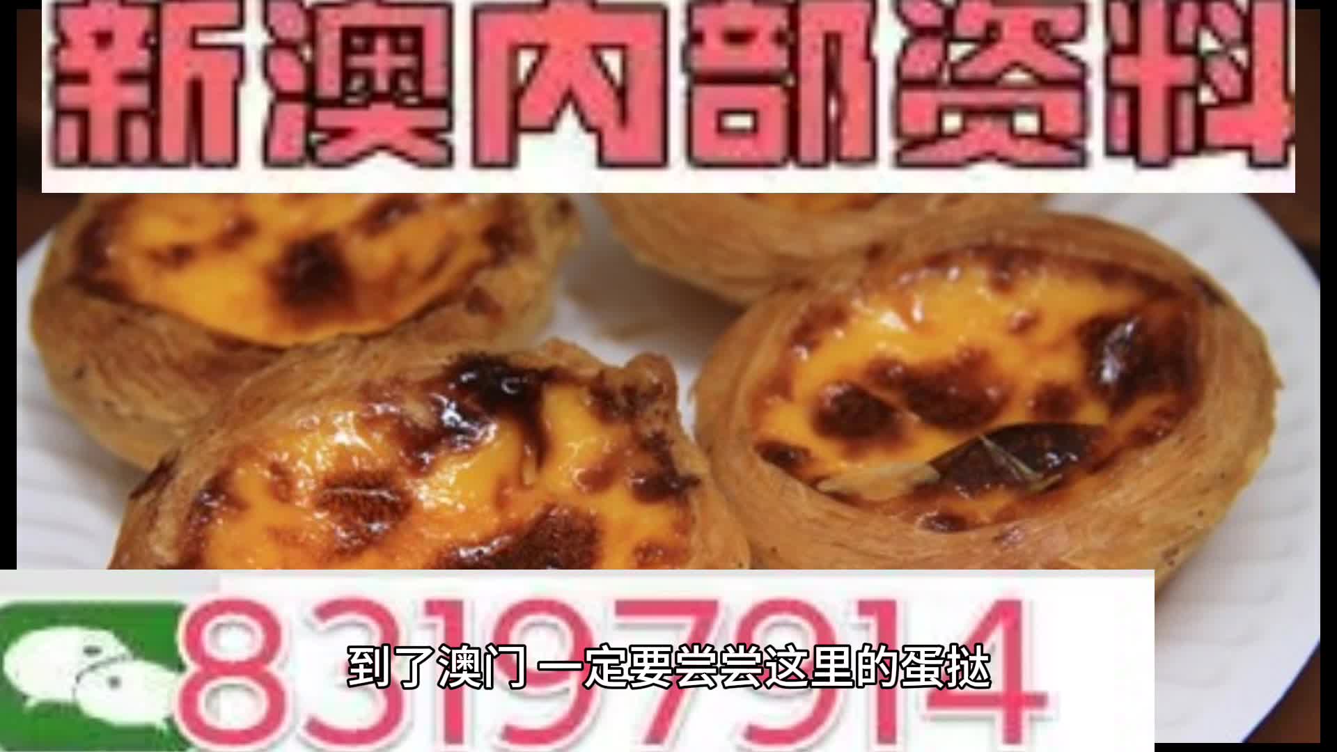 新奧2024年免費資料大全概覽