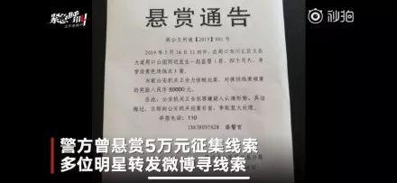 管家婆必出一肖一碼一中，揭秘背后的秘密與真相