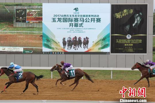 今晚香港開特馬，探索賽馬運(yùn)動(dòng)的魅力與未來展望