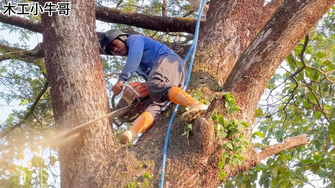 理財(cái)指南針 第3頁