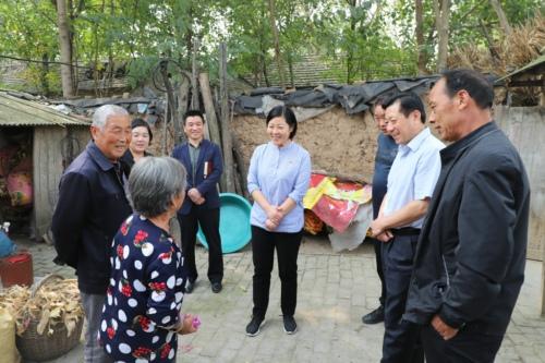 鄲城土地最新消息，發(fā)展動(dòng)態(tài)與未來(lái)展望