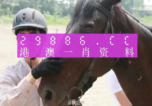 澳門(mén)一肖一碼一必中一肖同舟前進(jìn)，探索與解析