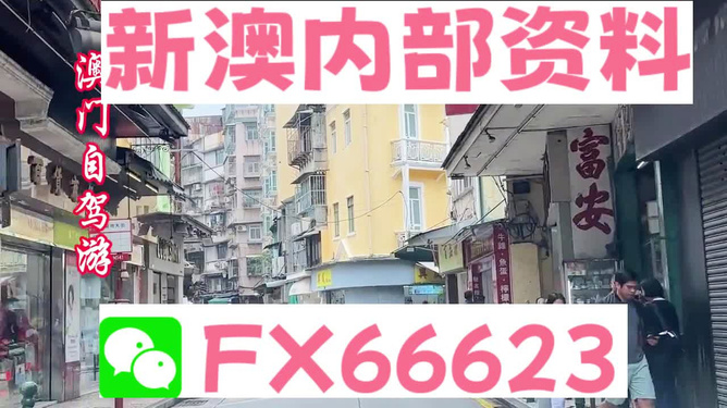 關(guān)于新澳精準(zhǔn)資料免費(fèi)提供網(wǎng)站，一個關(guān)于違法犯罪問題的探討