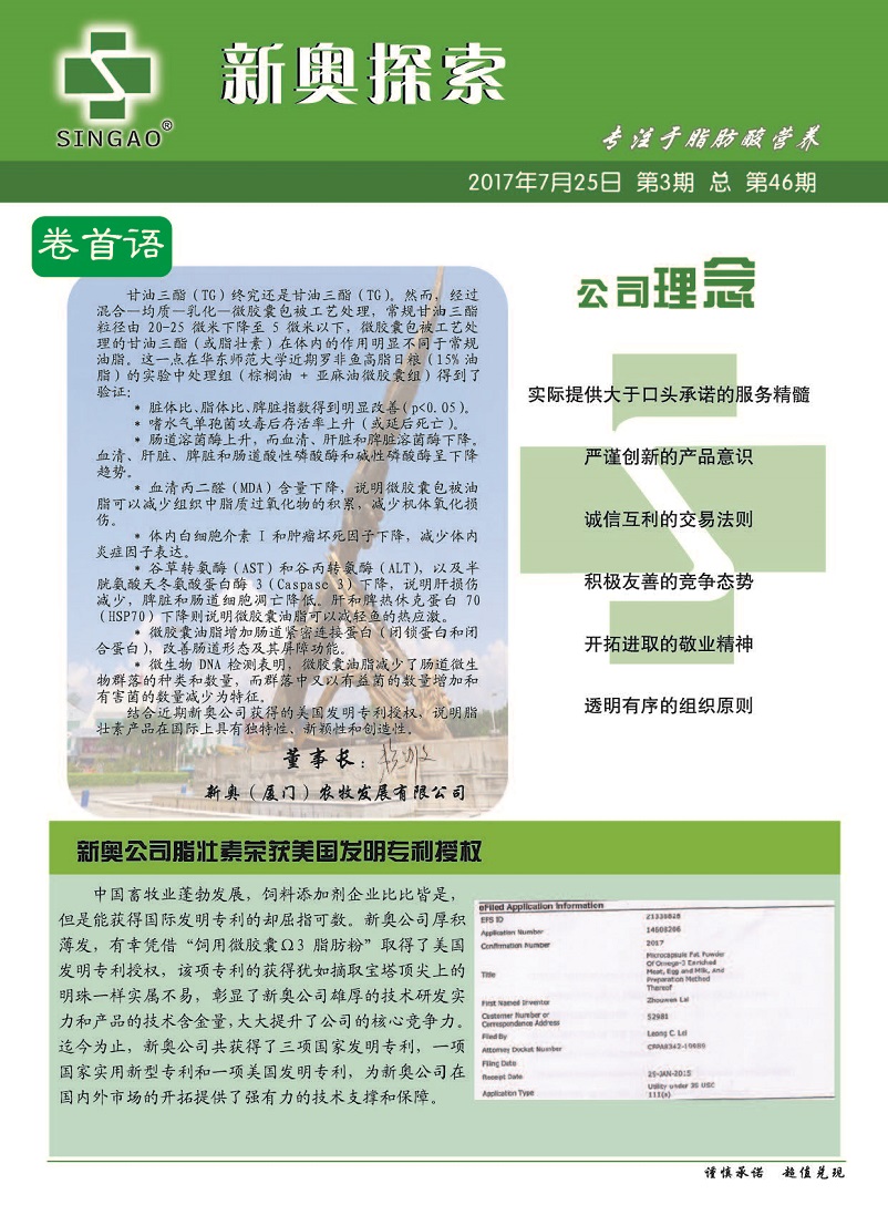 揭秘2024新奧精準(zhǔn)正版資料，全方位解讀與應(yīng)用策略